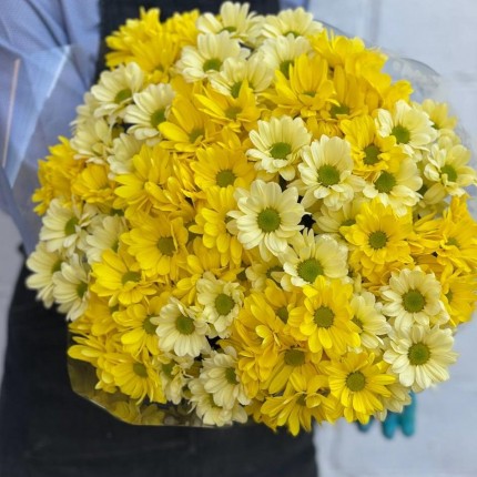 желтая кустовая хризантема - купить с доставкой в по Самаре